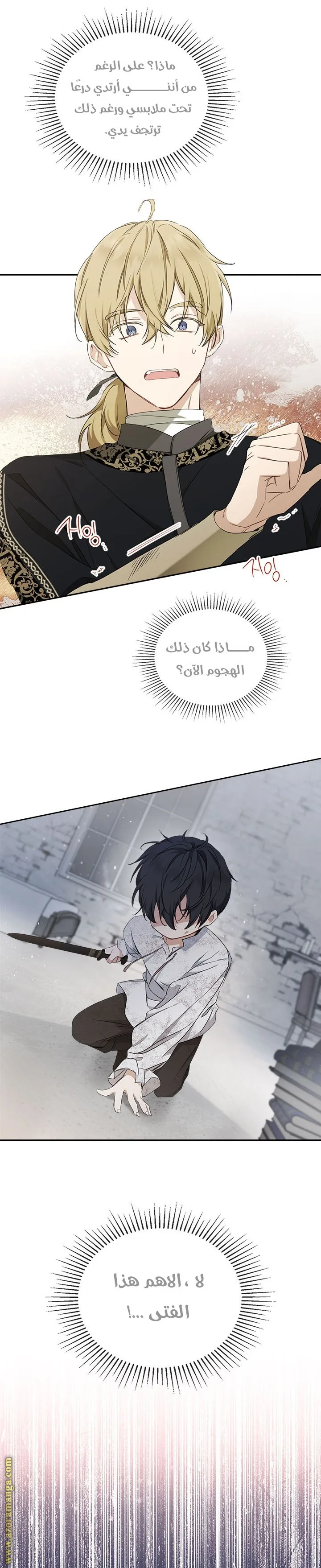 الصفحة 26