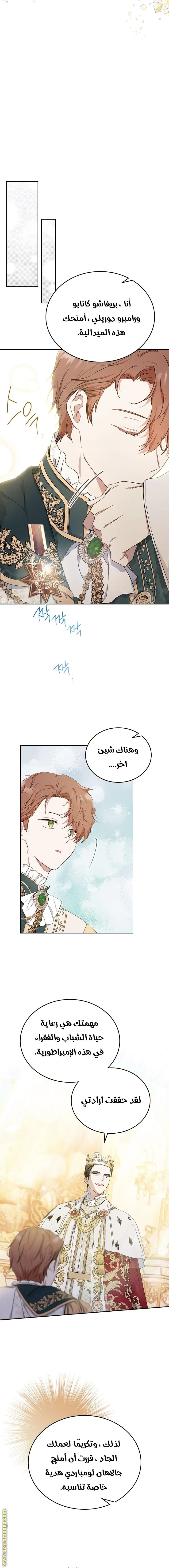 الصفحة 17