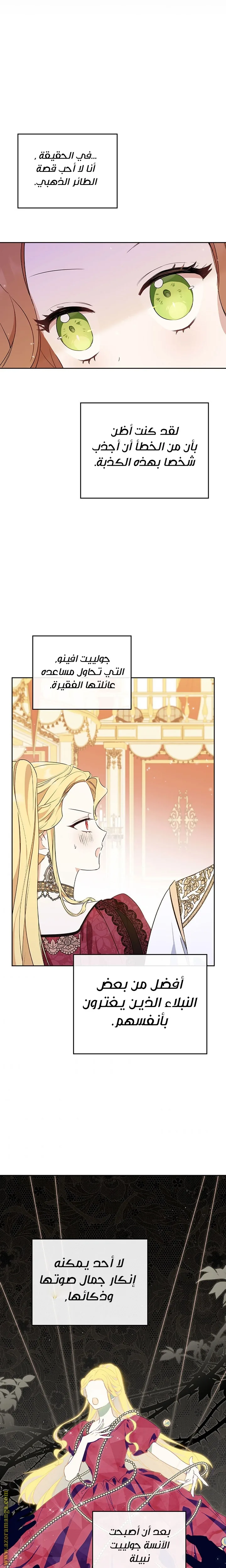 الصفحة 13