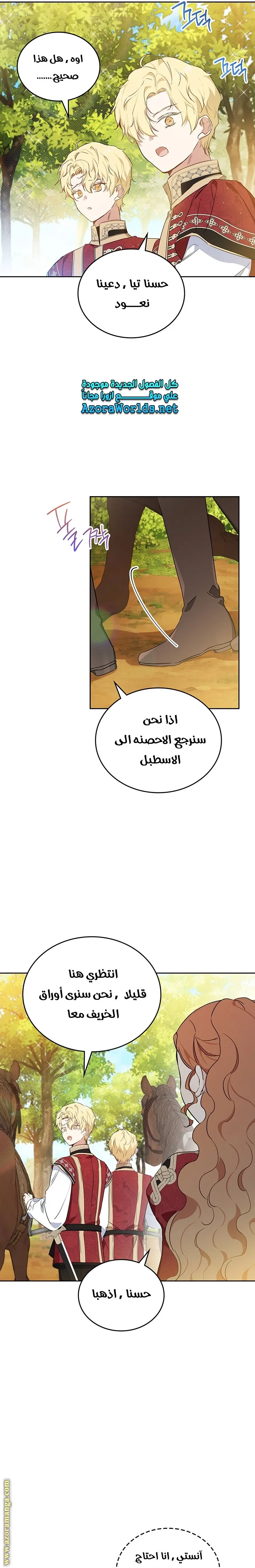 الصفحة 17