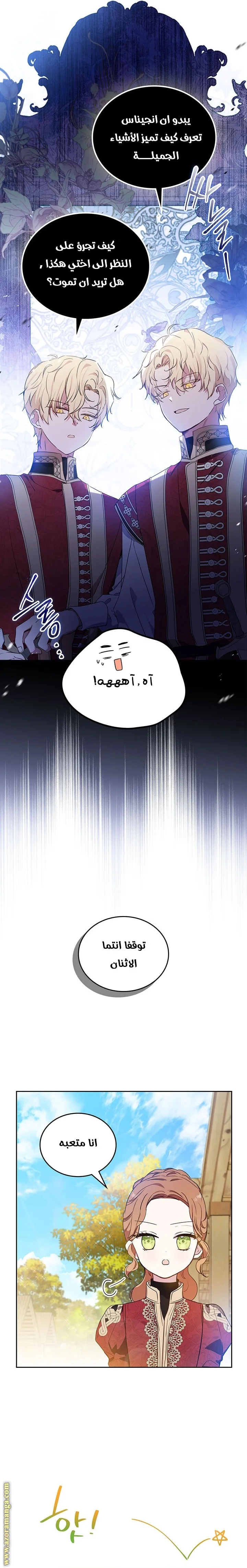 الصفحة 17