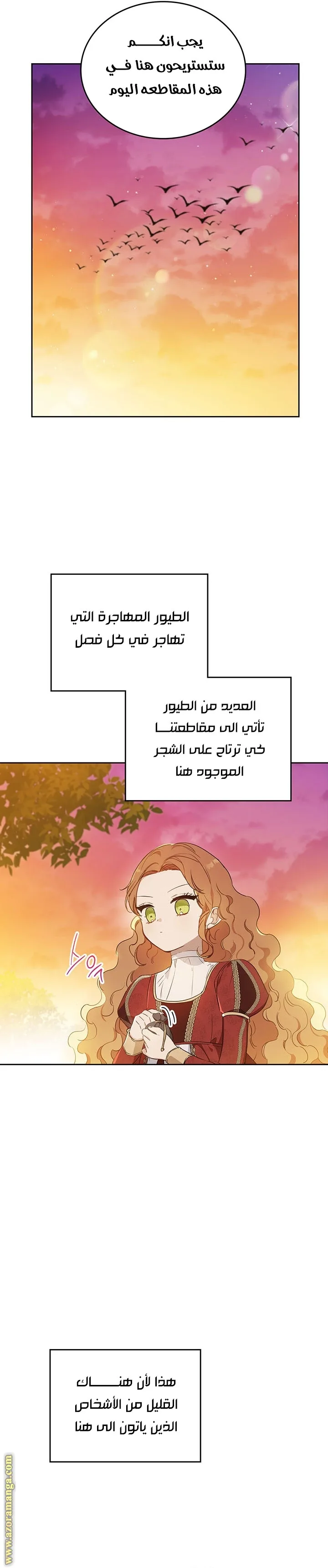 الصفحة 2