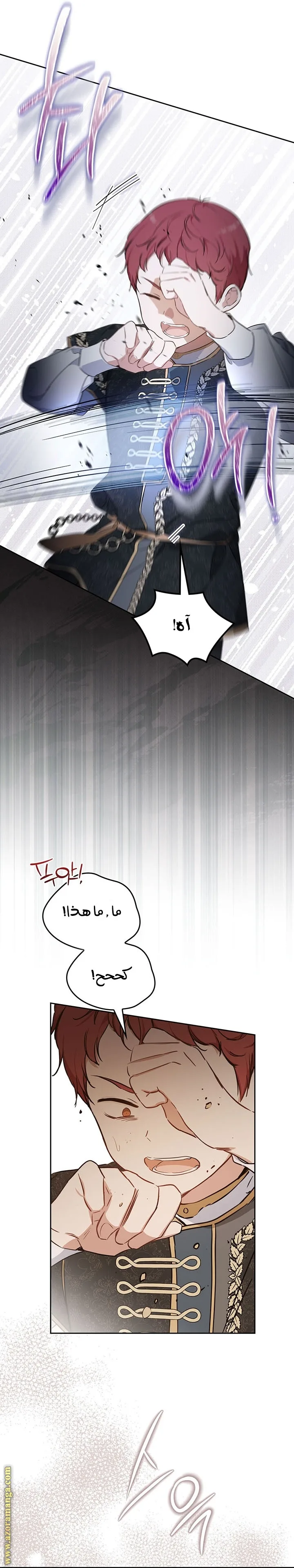 الصفحة 17