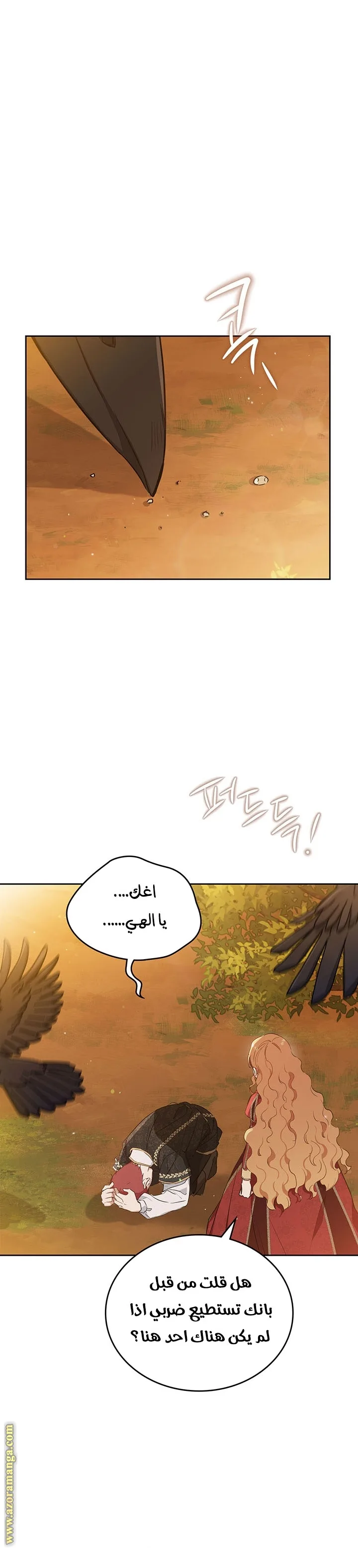 الصفحة 26