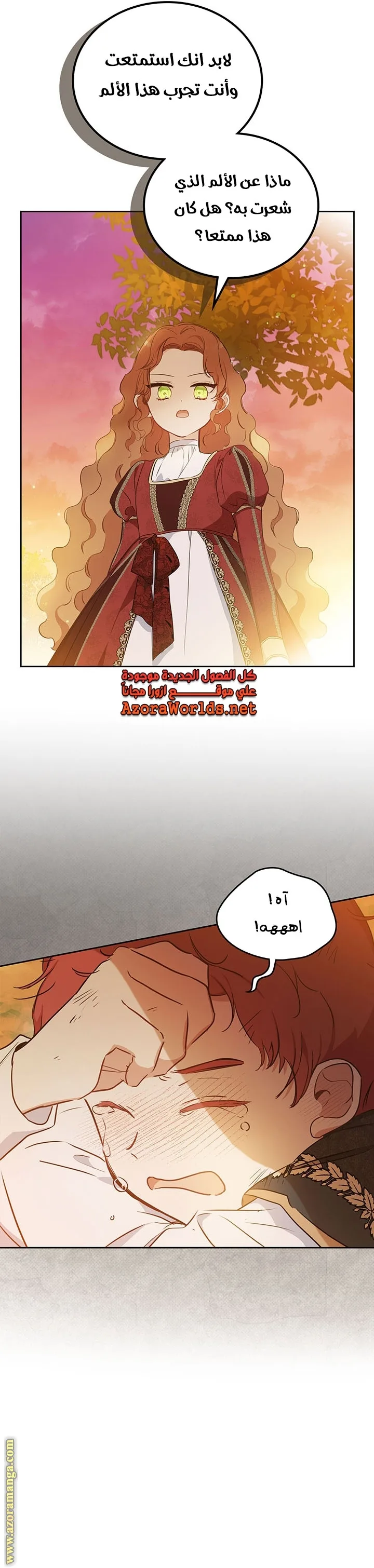 الصفحة 27