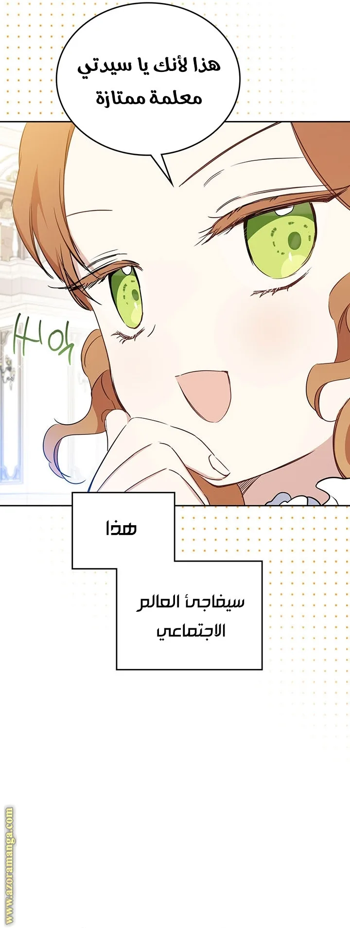 الصفحة 29