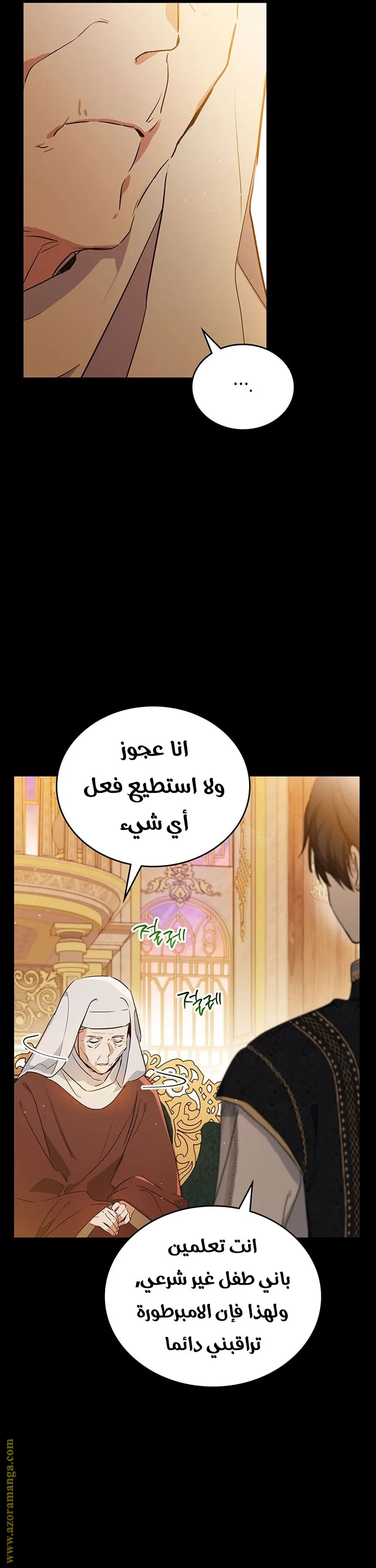 الصفحة 17