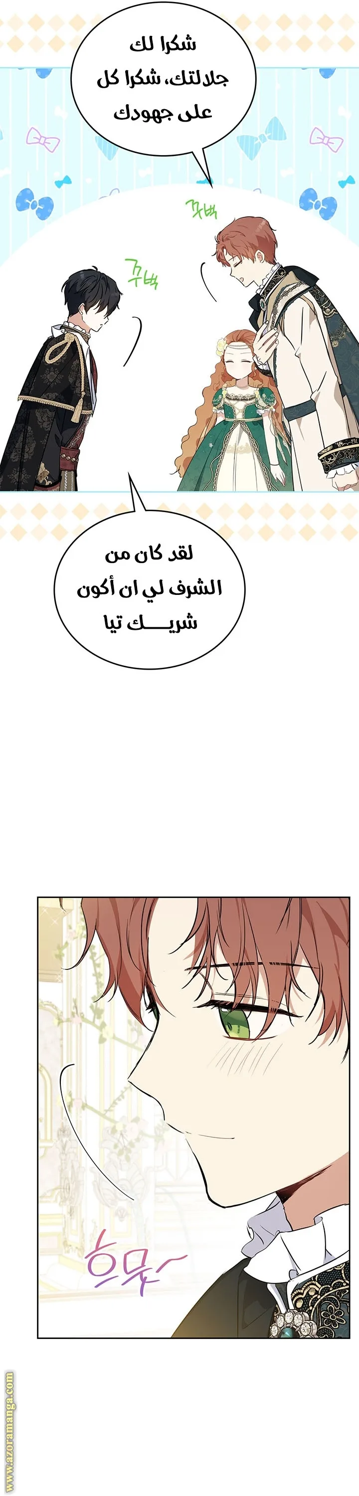 الصفحة 17