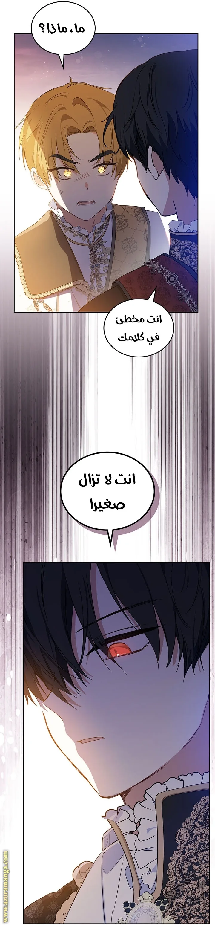 الصفحة 17