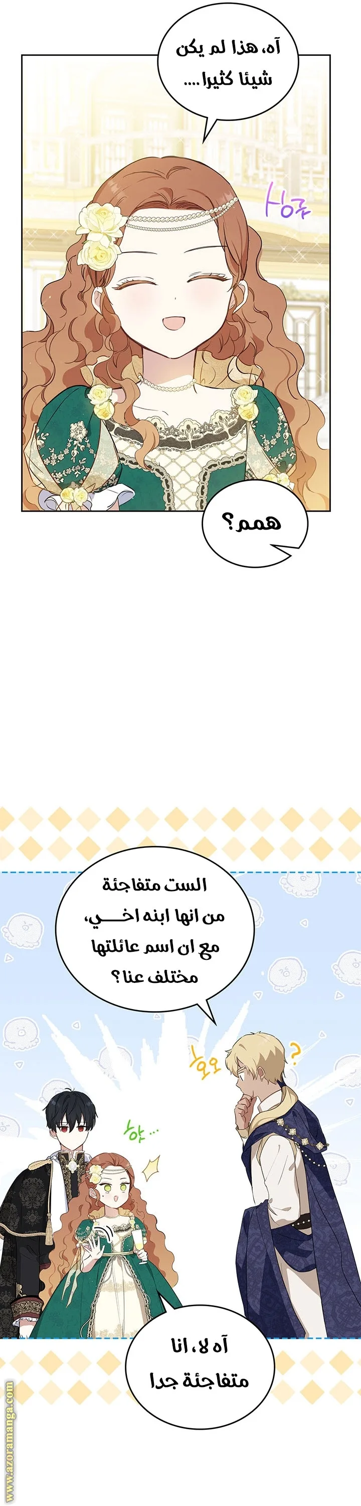 الصفحة 3