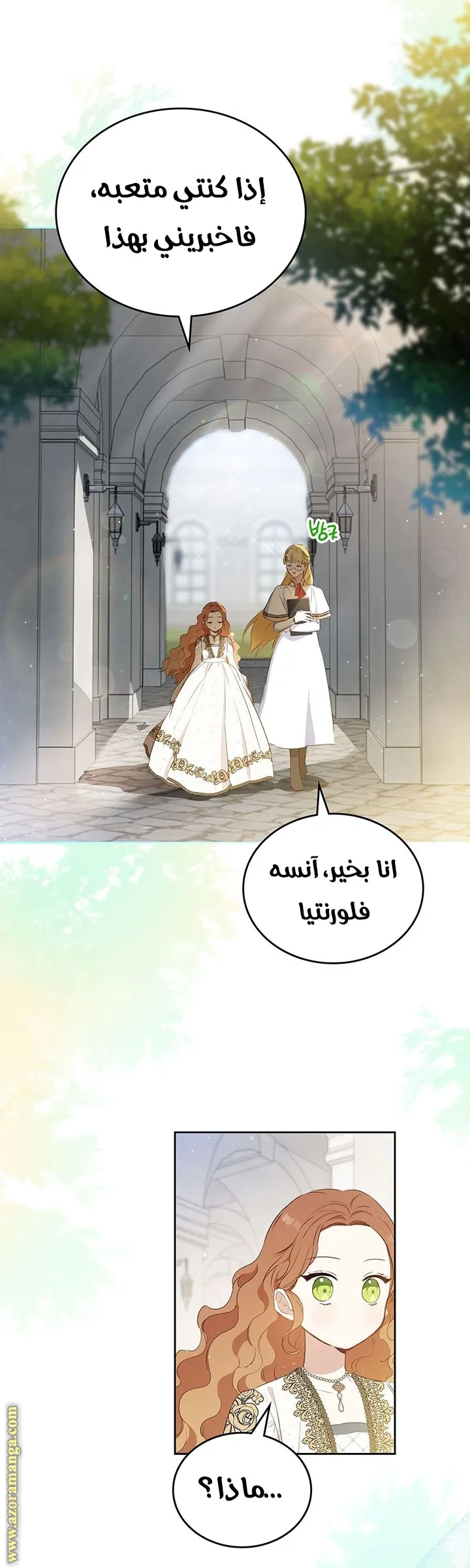 الصفحة 17
