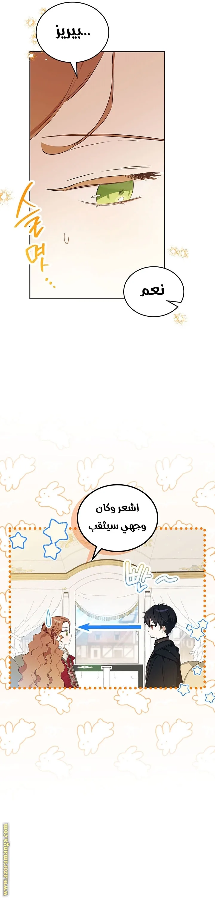 الصفحة 25