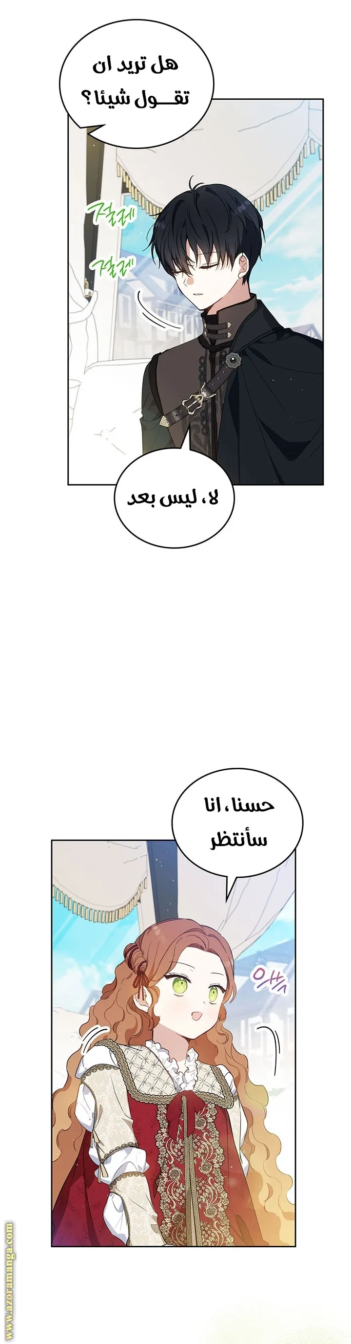 الصفحة 26