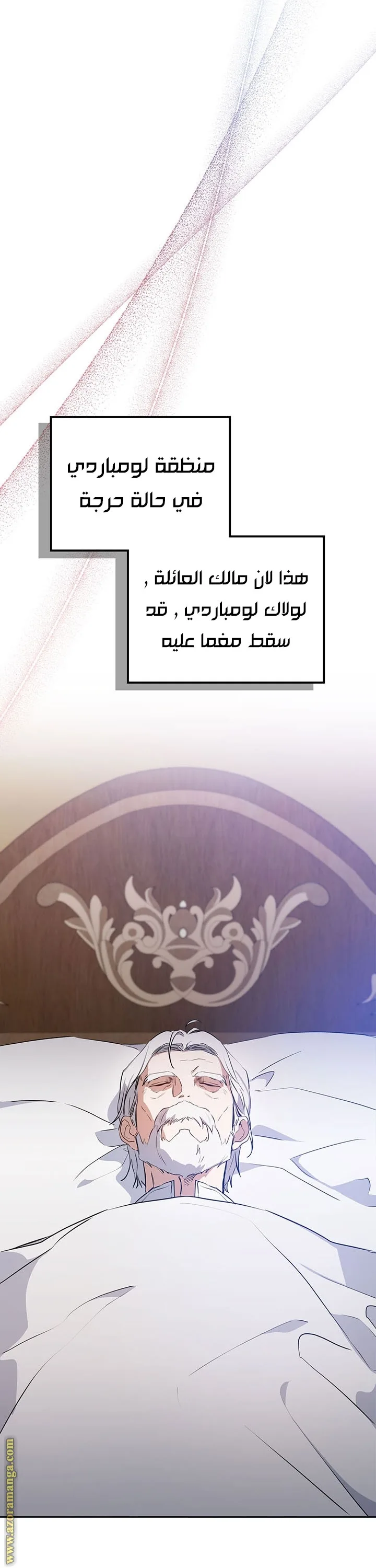 الصفحة 46