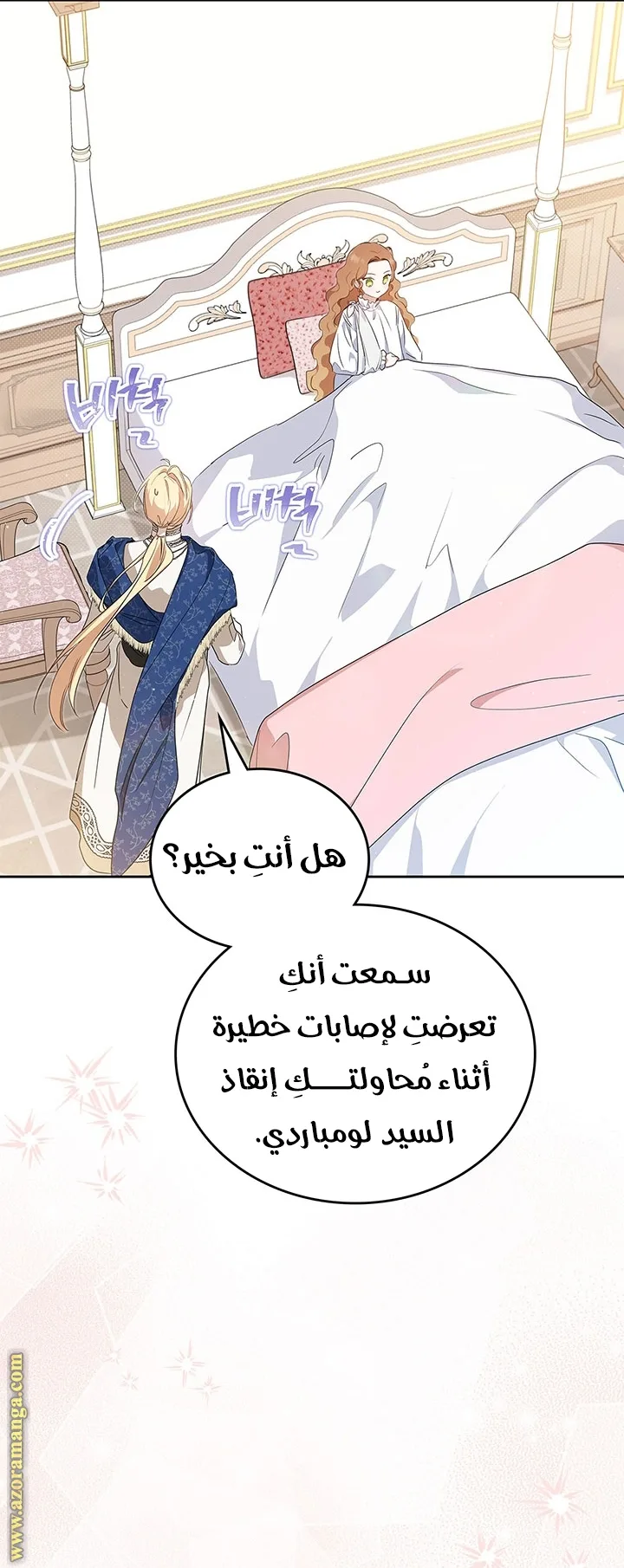 الصفحة 17
