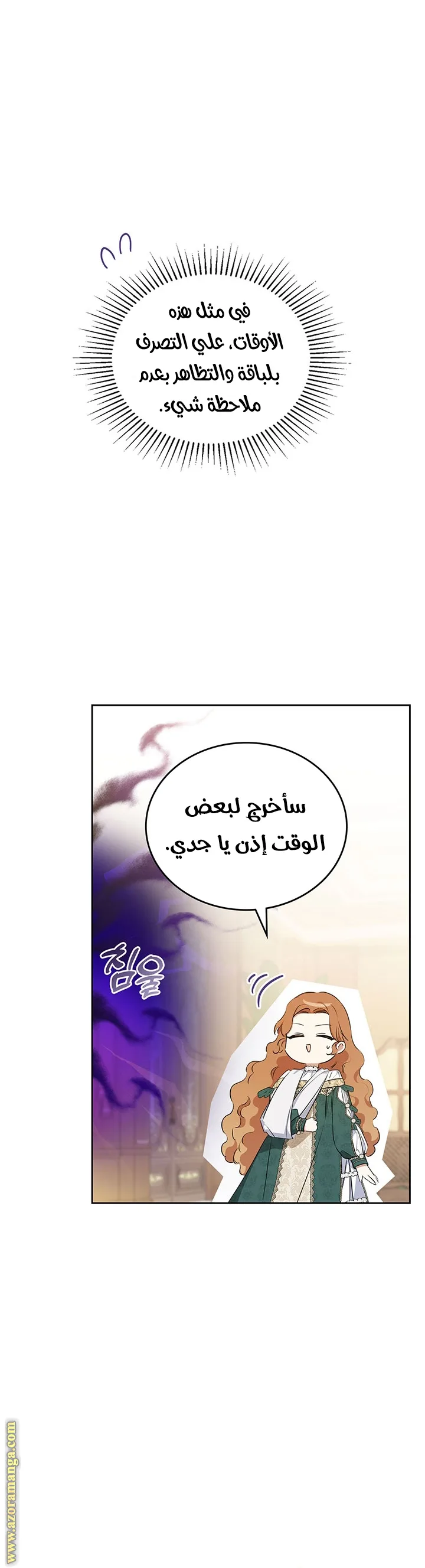 الصفحة 17