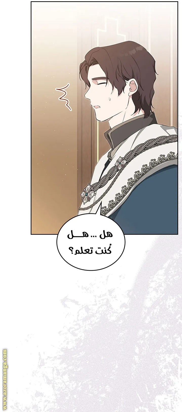 الصفحة 29