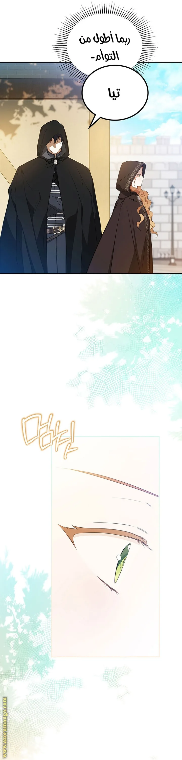 الصفحة 29