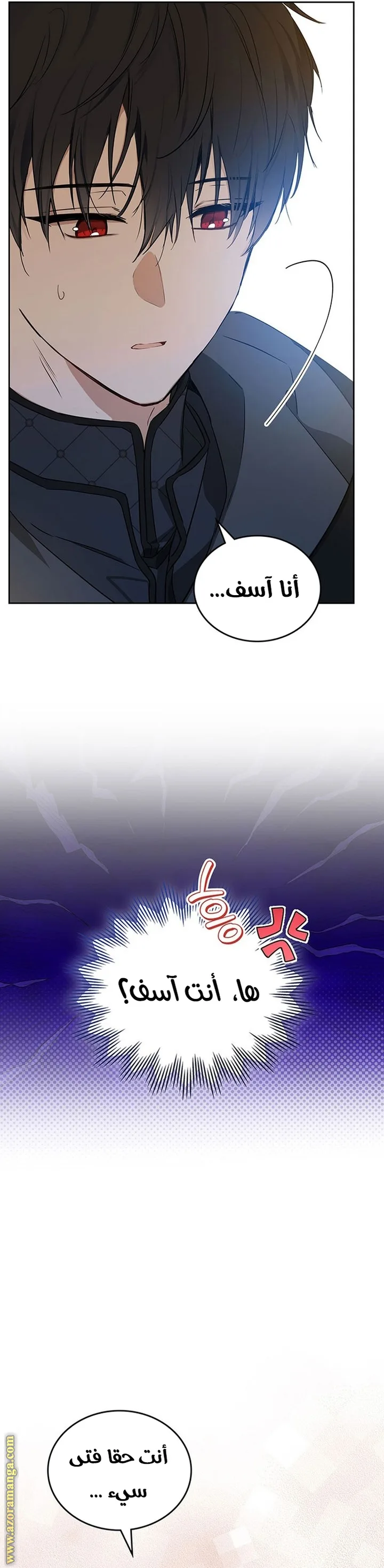 الصفحة 40