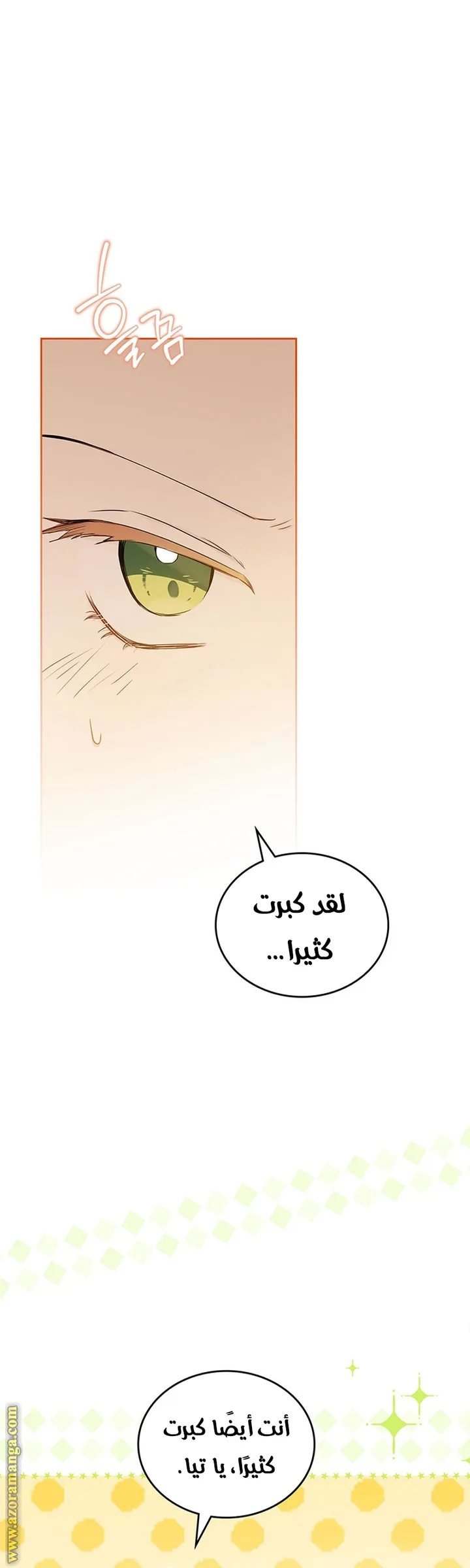 الصفحة 52