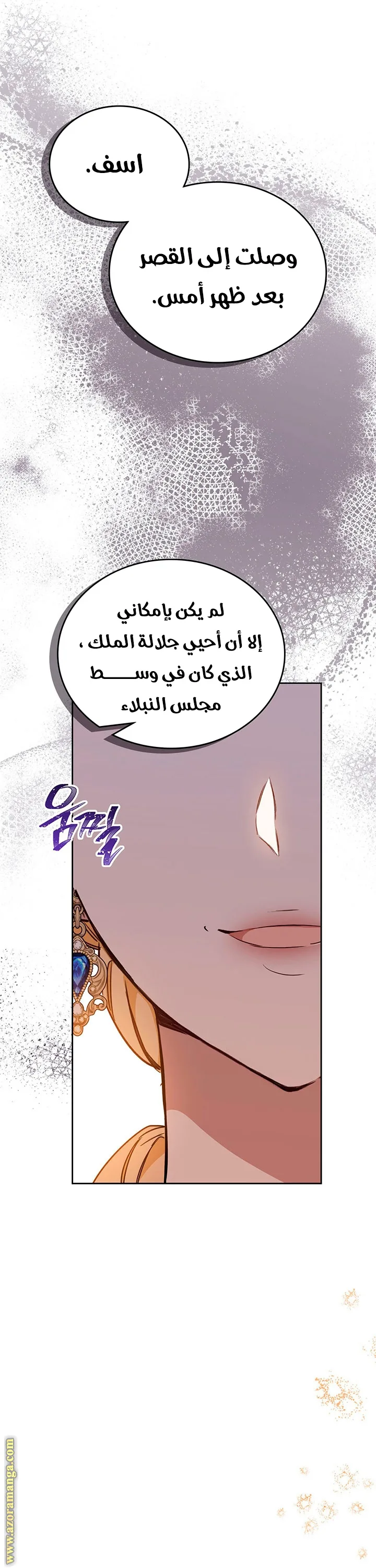 الصفحة 25