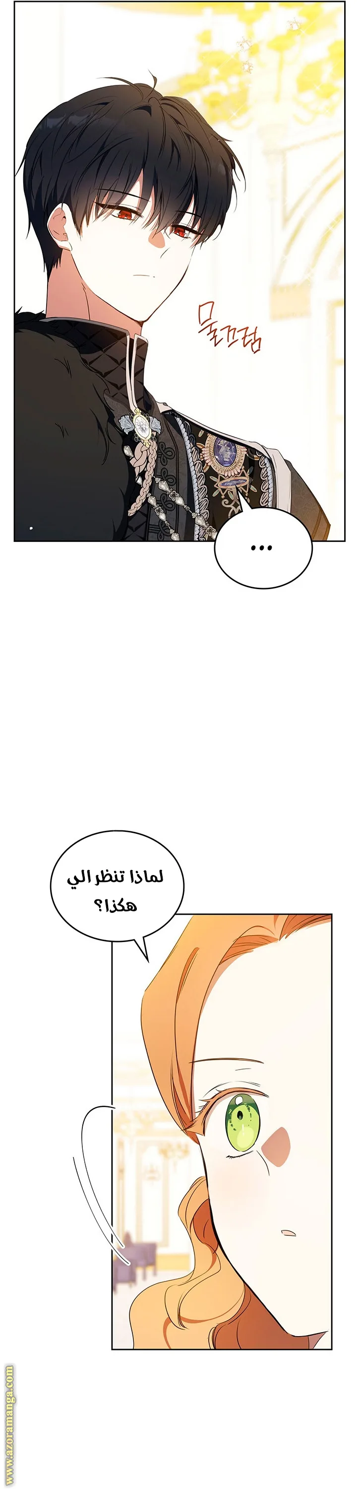 الصفحة 41
