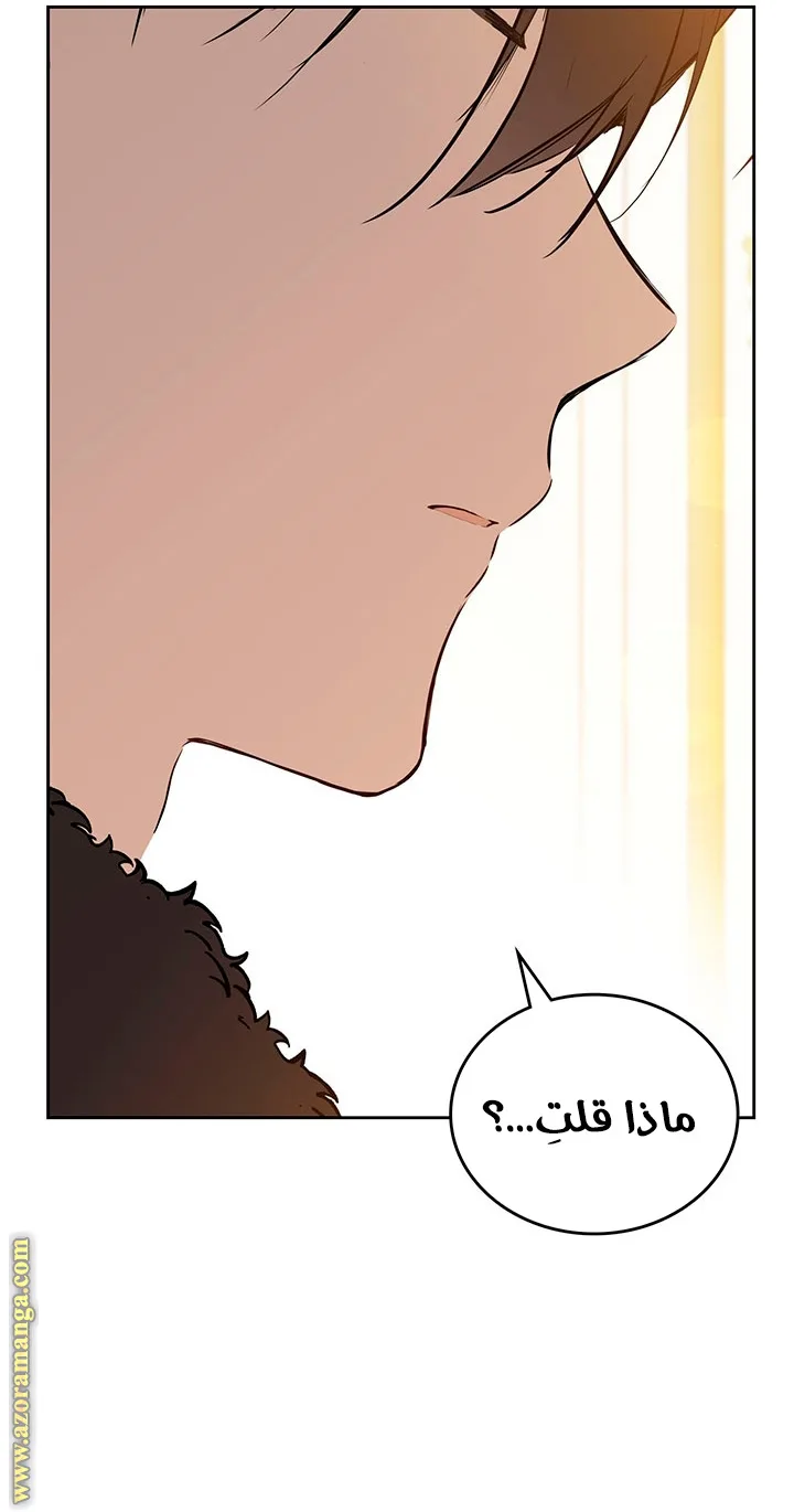 الصفحة 45