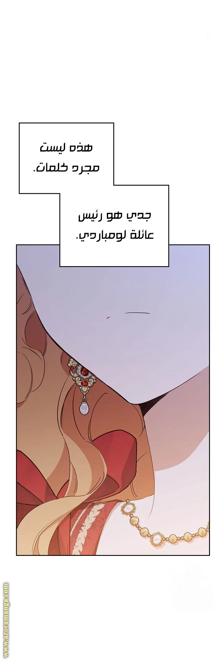 الصفحة 29