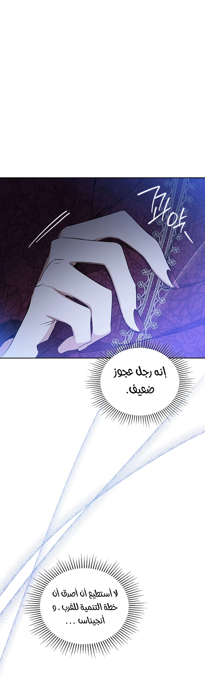 الصفحة 17