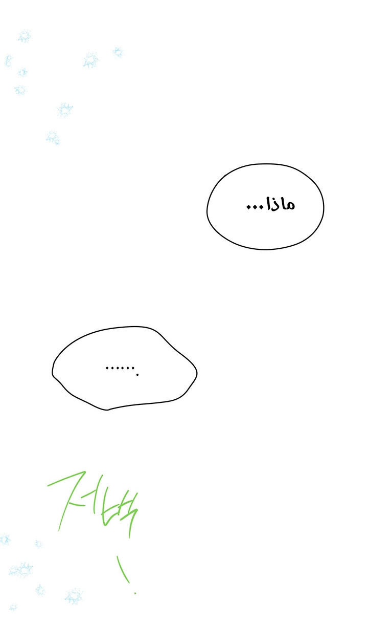 الصفحة 38