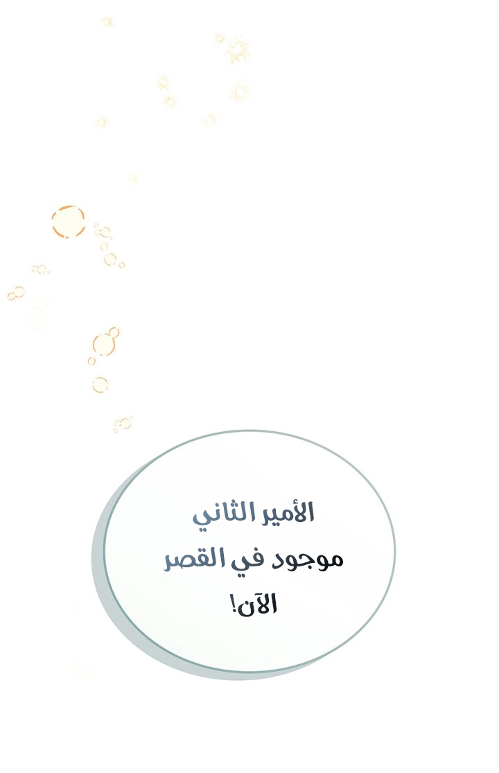 الصفحة 43