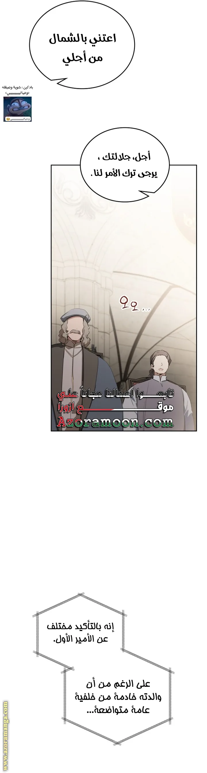 الصفحة 29
