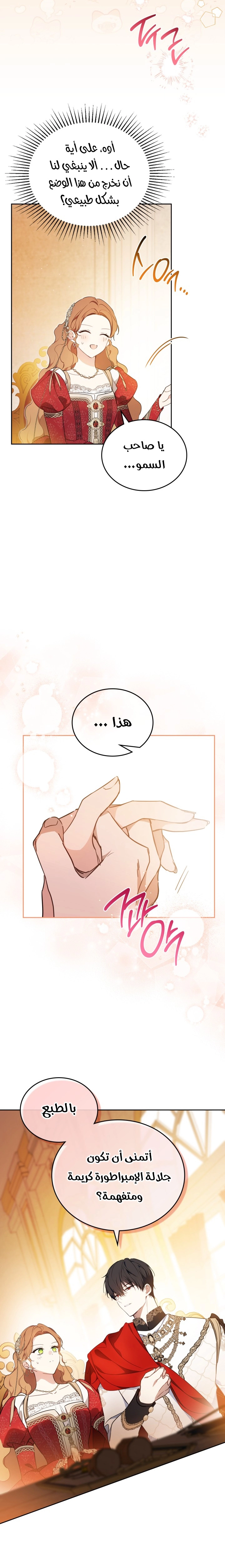الصفحة 22