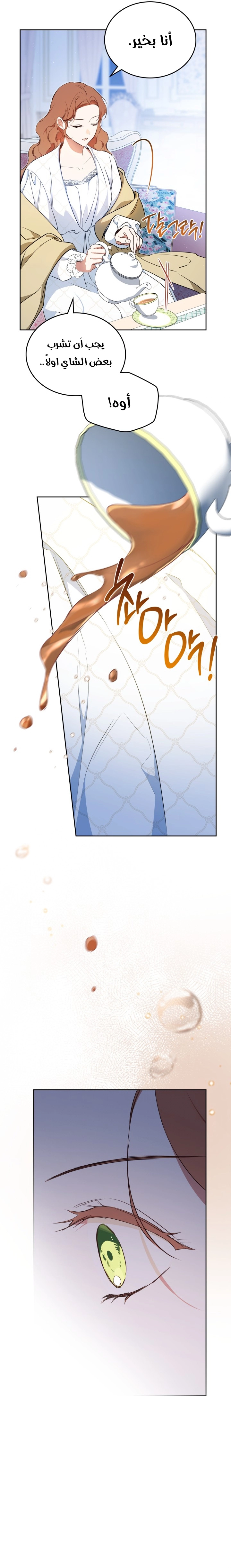 الصفحة 16