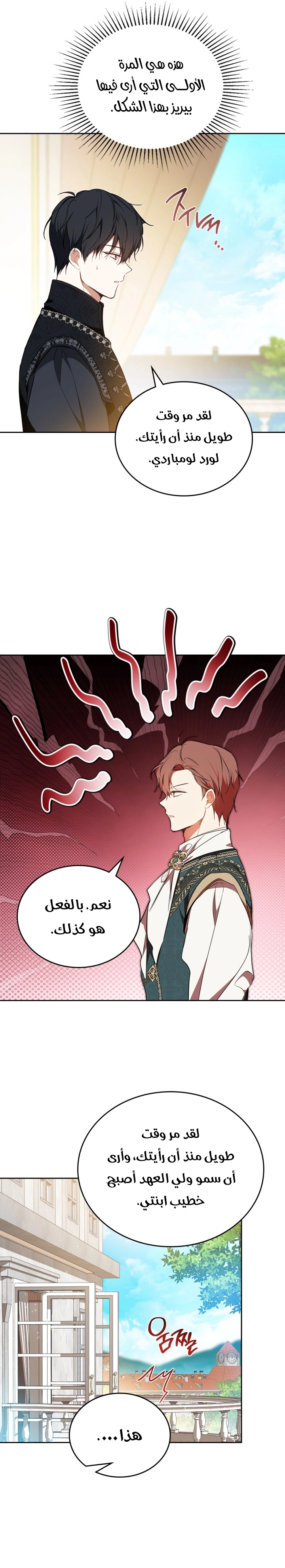 الصفحة 17