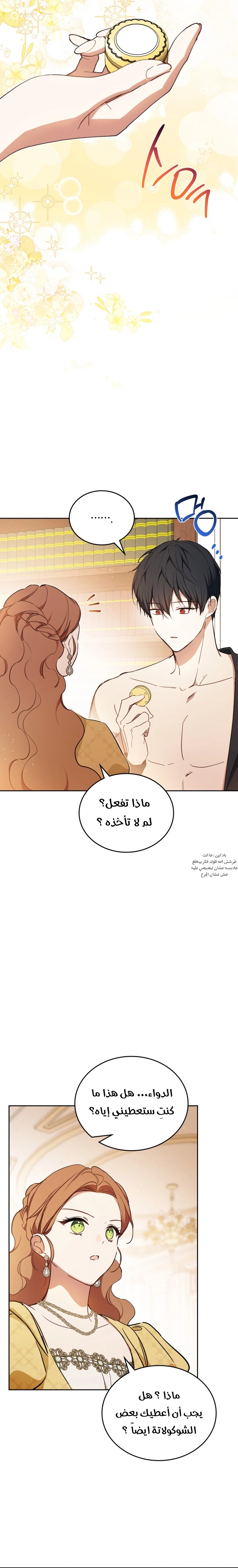 الصفحة 27