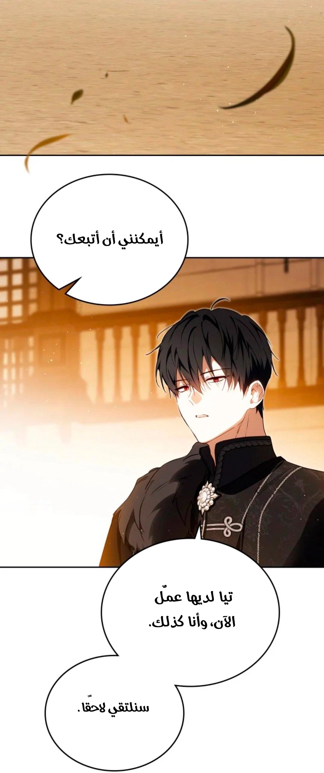 الصفحة 19