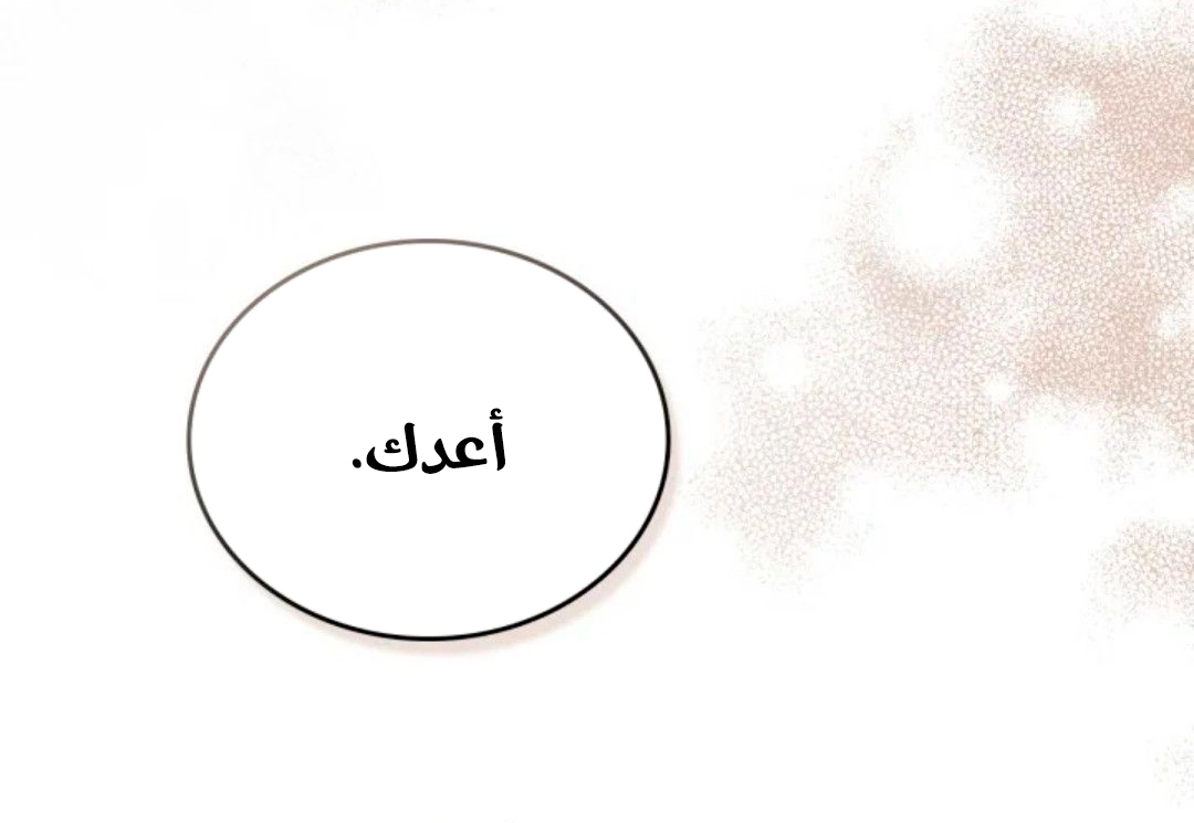 الصفحة 43
