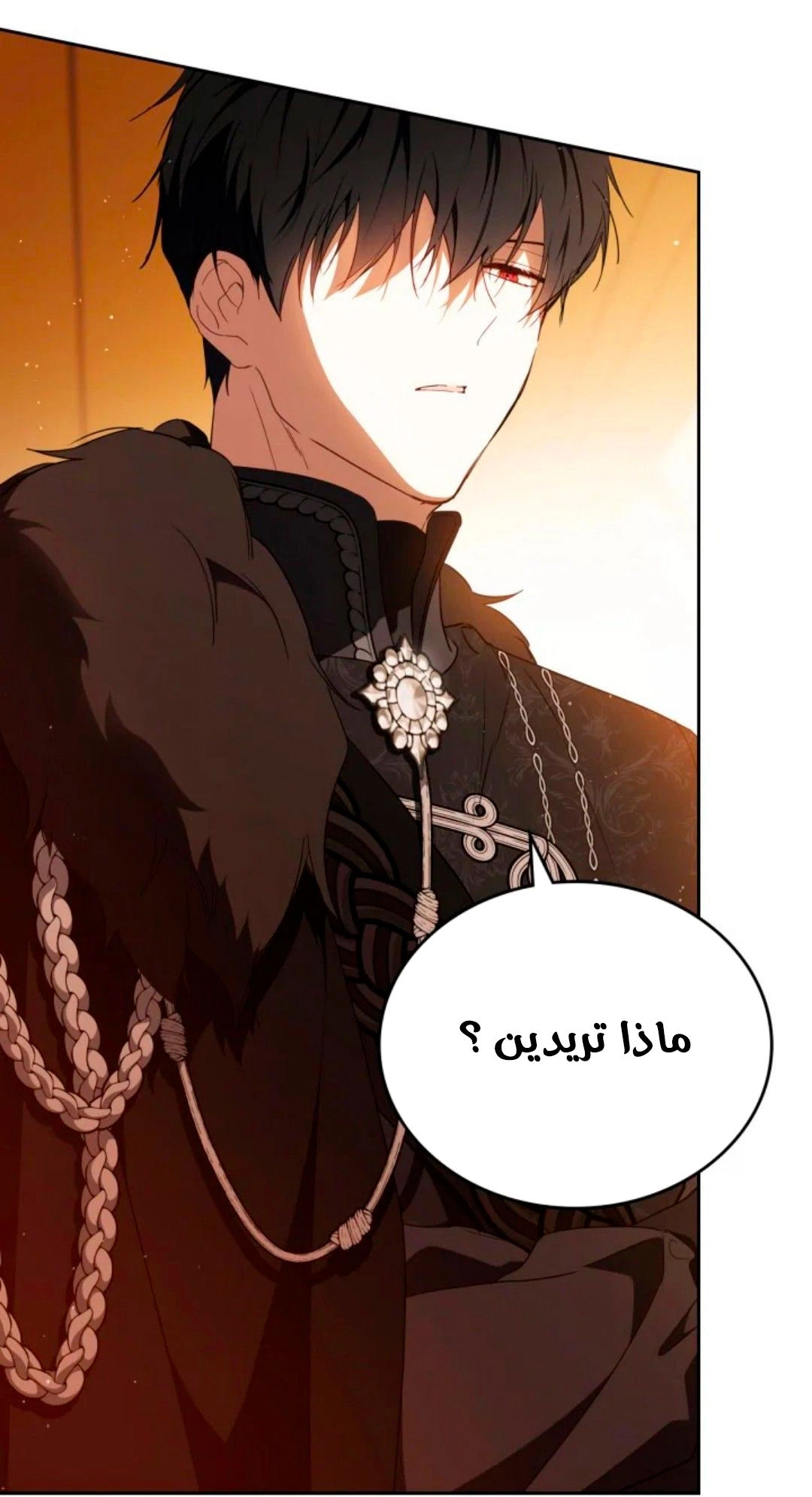 الصفحة 63
