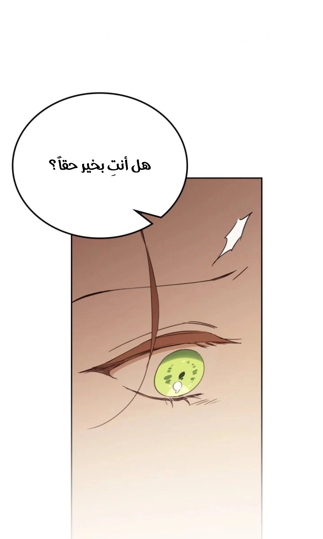 الصفحة 54