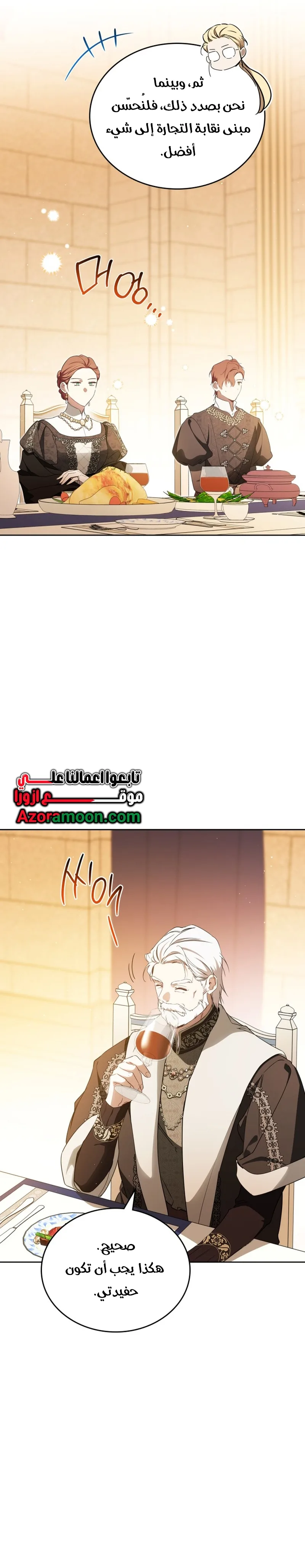 الصفحة 17