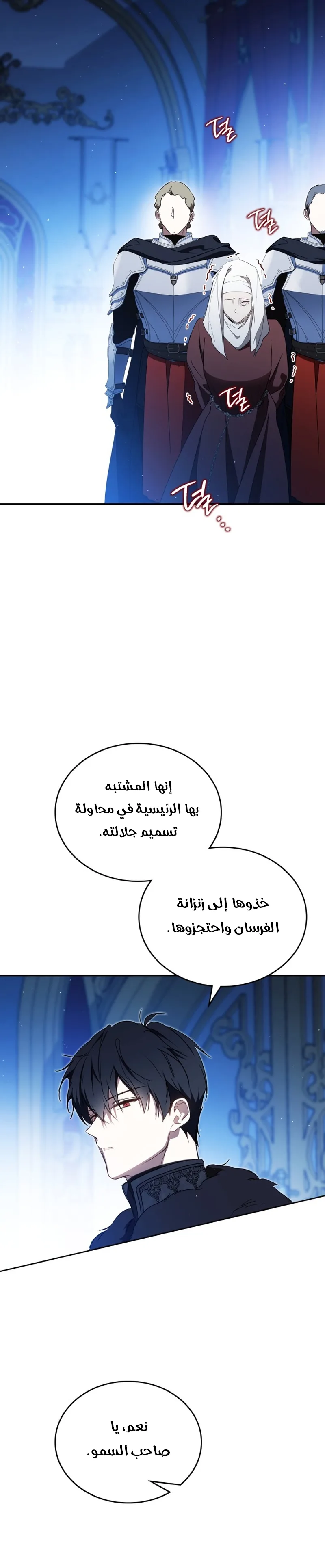 الصفحة 13