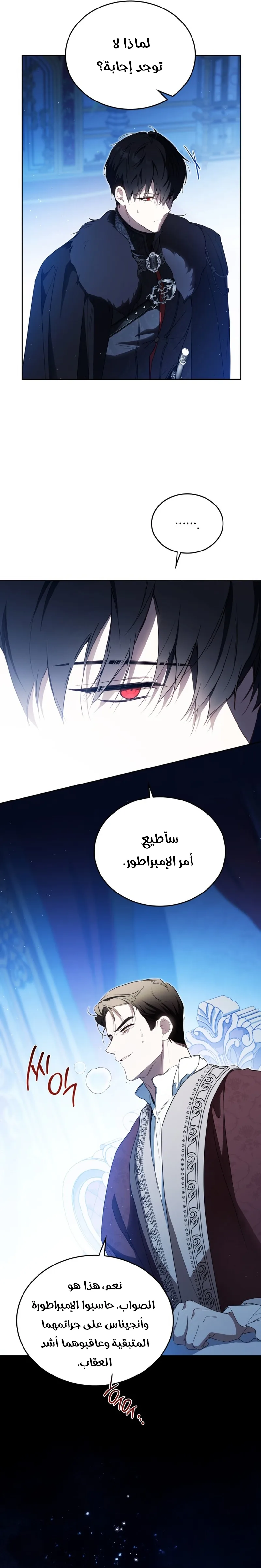 الصفحة 13