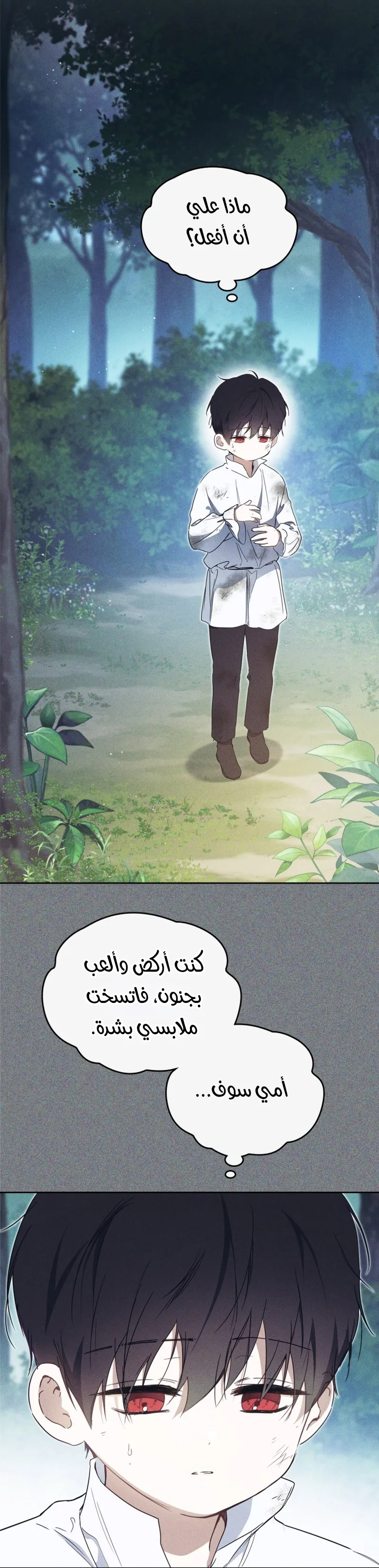 الصفحة 30