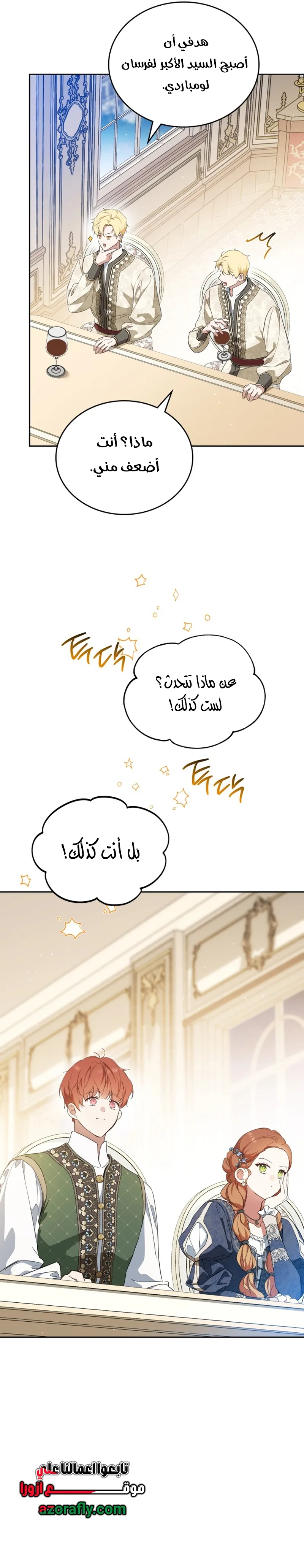 الصفحة 17