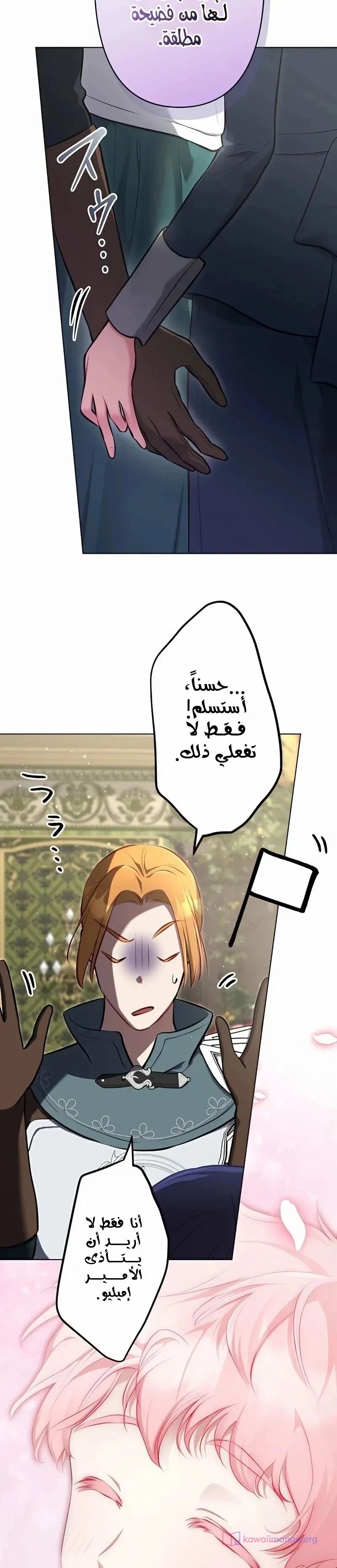 الصفحة 11