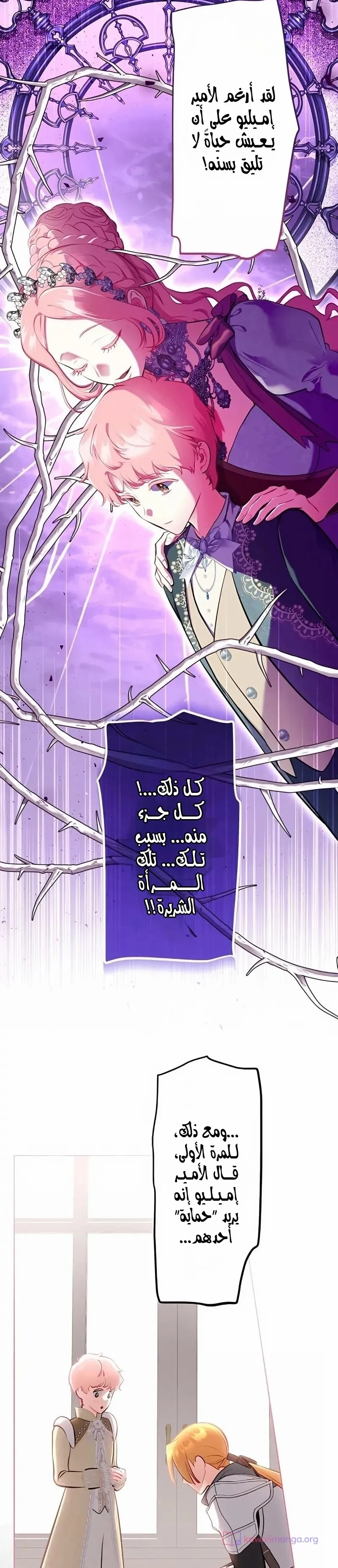 الصفحة 13