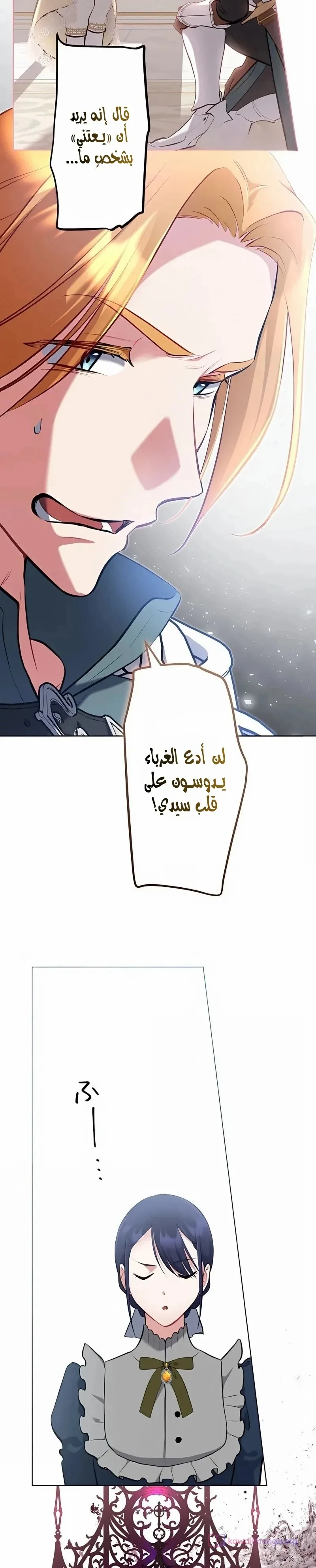 الصفحة 14