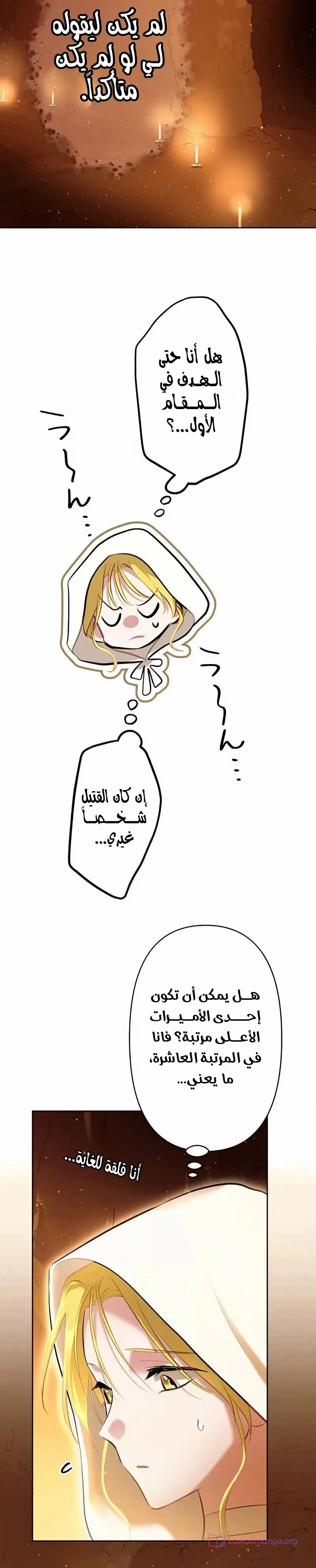 الصفحة 19