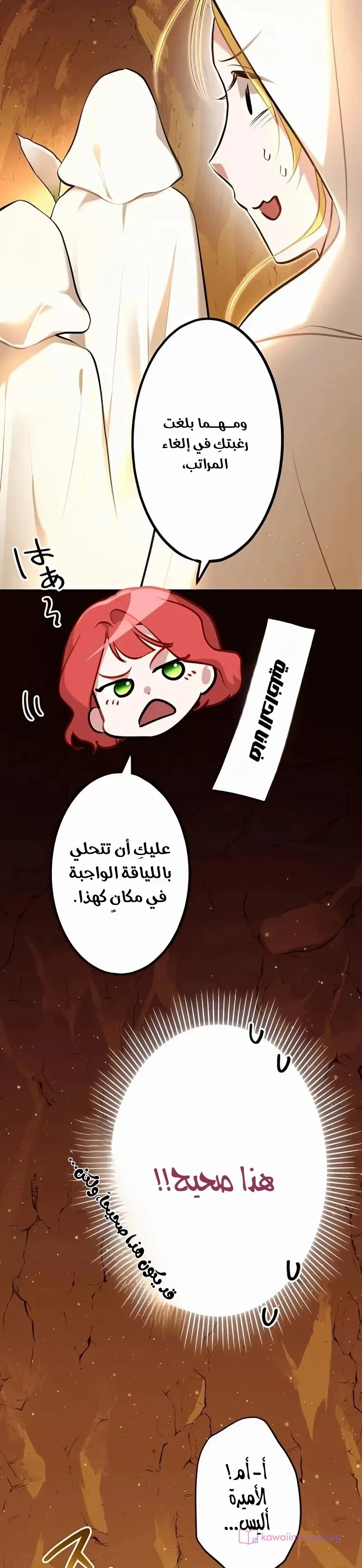 الصفحة 21